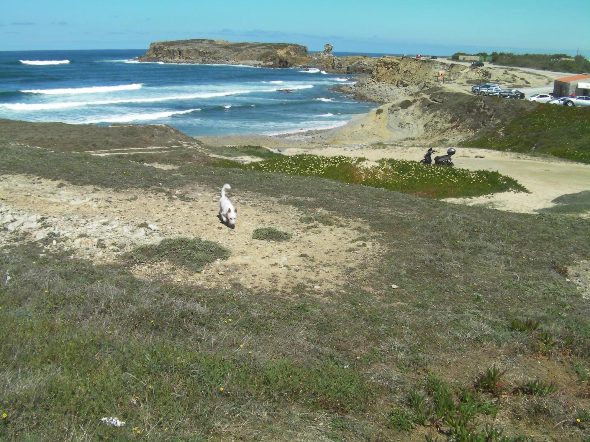 Peniche Surf Lodge 1 Buitenkant foto